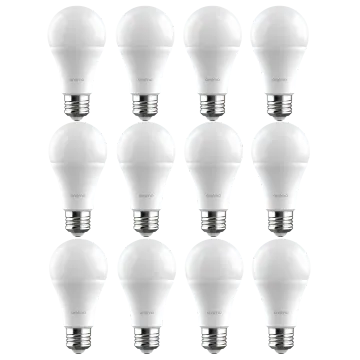 LightBulb 12pcs 10W LED Light Bulb