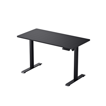 FlexiStation Ergonomic Smart Adjustable Electric Standing Desk