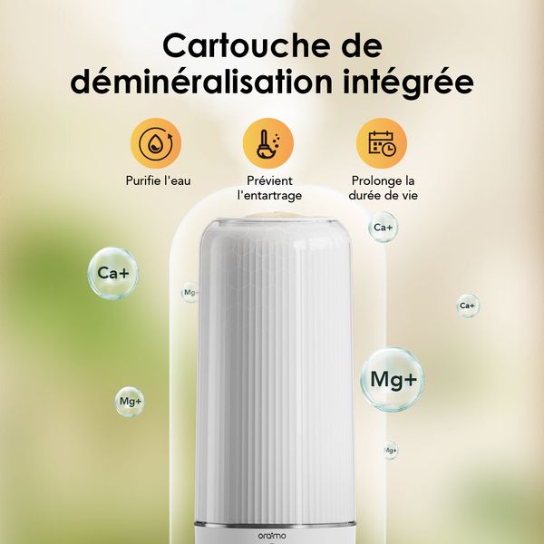 MistFlow Max 6L Humidificateur
