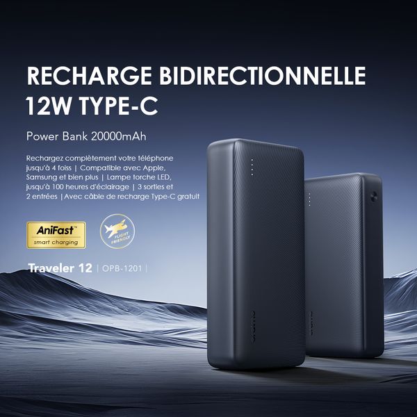 traveler 12 20000mAh 12W Power Bank