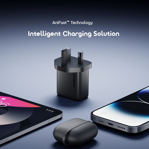 PowerGaN 251 25W GaN Fast Mini Charger Set