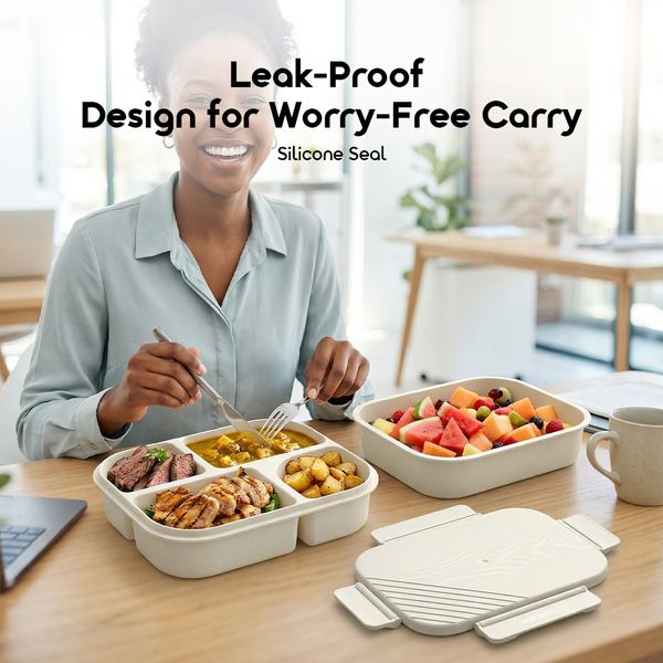 FreshBento Antibacterial PP Double Layer Bento Box