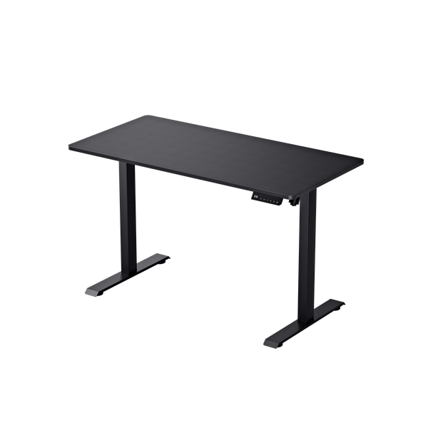 FlexiStation Ergonomic Smart Adjustable Electric Standing Desk