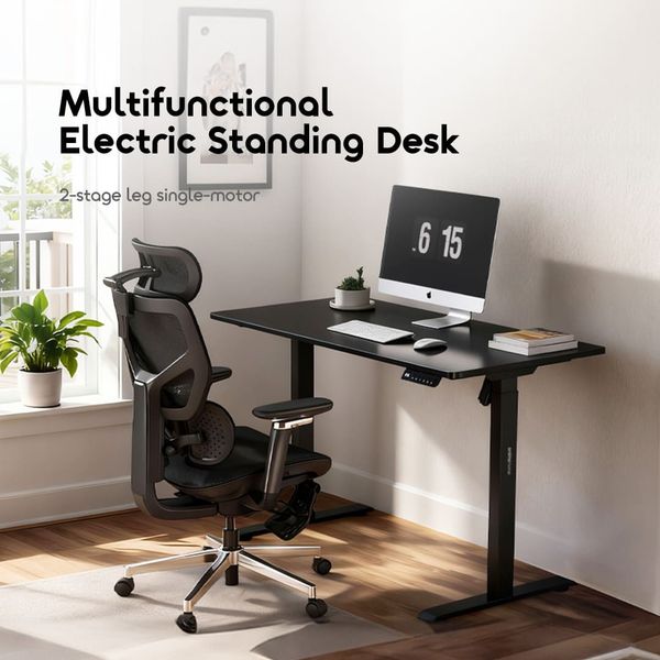 FlexiStation Ergonomic Smart Adjustable Electric Standing Desk