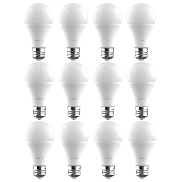 LightBulb 12pcs 10W LED Light Bulb