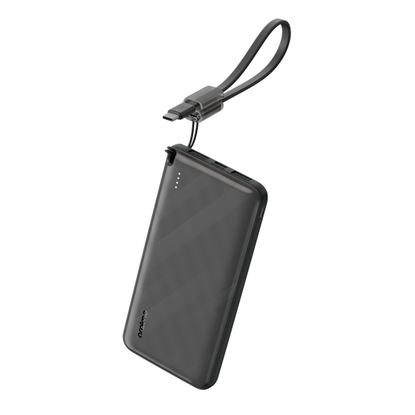 10000mAh Power Bank Efficient Slim PowerFlow L1