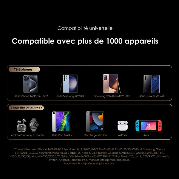 Traveler 12 Byte 20000mAh 12W Power Bank