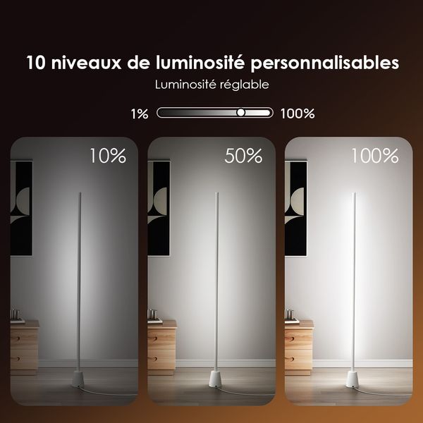 CornerGlow Ambient Floor Lamp