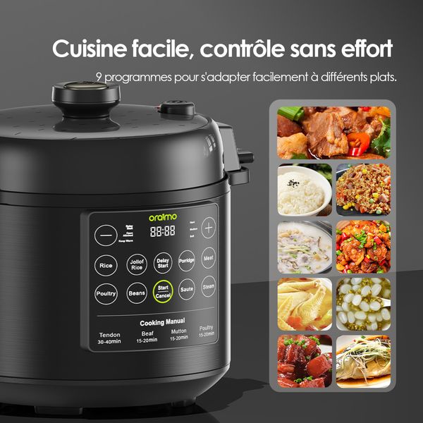 TenderPot Electric Pressure Cooker