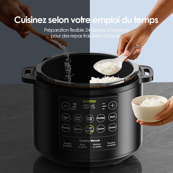 TenderPot Electric Pressure Cooker