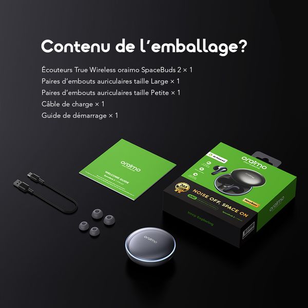 SpaceBuds 2 Écouteurs True Wireless AI Smart – Gris spatial