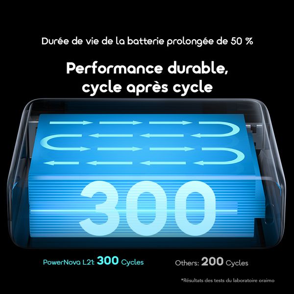 PowerNova L21 20000mAh 30W Power Bank