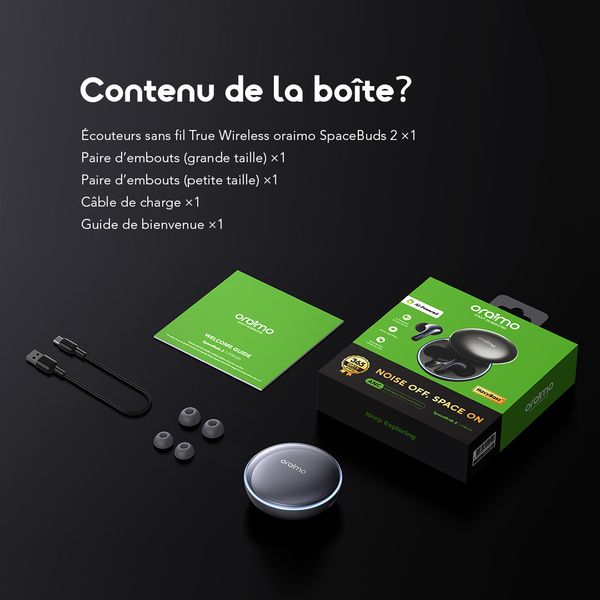 SpaceBuds 2 Écouteurs True Wireless AI Smart – Gris spatial