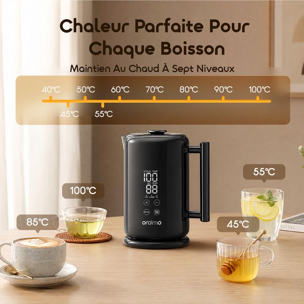 FastBrew Bouilloire Électrique Intelligente Rapide 1,7L En Acier Inoxydable 316