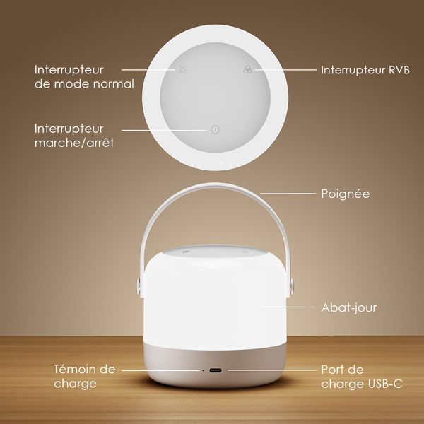 SmartLamp Go Veilleuse RVB 4,5 W
