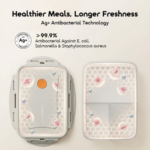 DailyBento Antibacterial 3-Compartment Bento Box